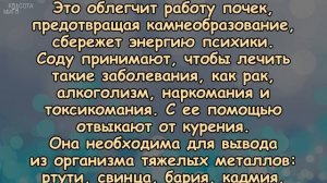 БЕСЦЕННЫЕ СОВЕТЫ профессора Неумывакина