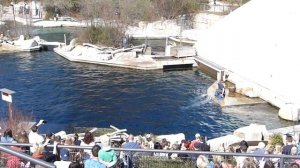 Nuremberg zoo 30 03 2019