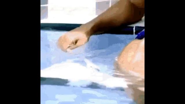 Вот как надо пузыри пускать) смотреть онлайн