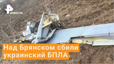 Российские ПВО сбили ударный украинский беспилотник под Брянском