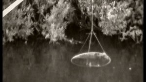 Раков много не бывает, или "Трое на речке, не считая собаки"