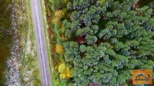 Осень на АЛТАЕ, видео снятое с квадрокоптера/Сверху виднее - Алтай.