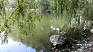 Moldova Edinets. Молдова Единец.