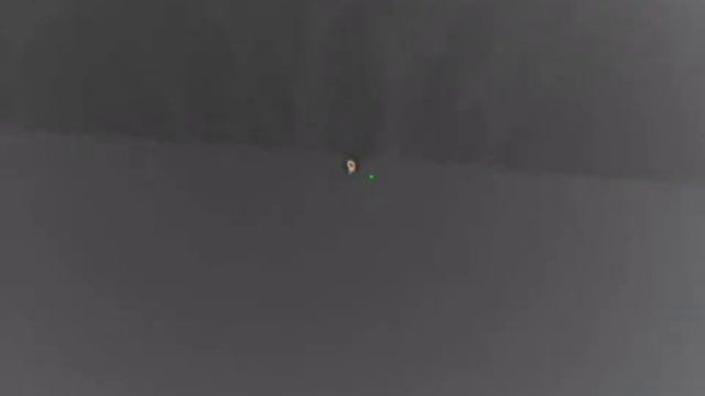 Охота на косулю с тепловизором смотреть онлайн