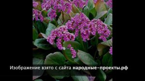 Ответы на вопросы! Как лечить детей от остриц? Выпуск 87.