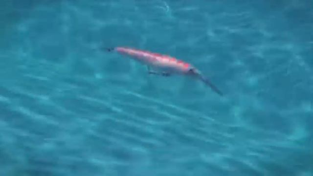 Countdown Magnum смотреть онлайн