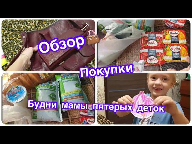 влог/покупка продуктов/обзор заказа с инстаграмма/будни мамы пятерых/таша мама блогер