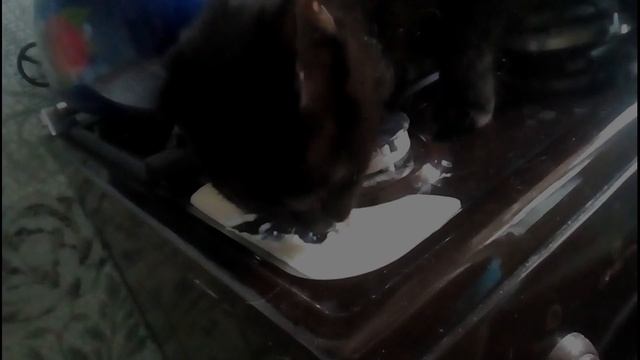 Как быстро почистить плиту, если пища "убежала" смотреть онлайн