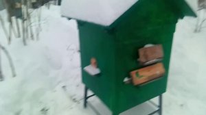 Зимовка пчел в колодах.