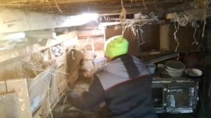 КРОЛИКОВОДСТВО В ДЕРЕВНЕ