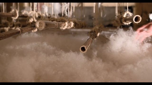 RÉCOLTE 2021- Populus nigra l. Louis GUILLAUME смотреть онлайн