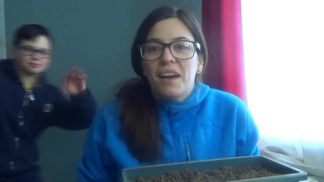 ПЕРВАЯ ПОСАДКА в теплицу. Аномальный снегопад. смотреть онлайн