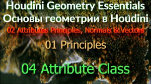 02_01_04 Attribute Class