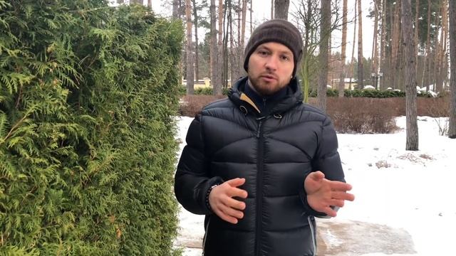 Живая изгородь из туи. Зачем нужна стрижка? Сады «Майендорф» | Твой Сад смотреть онлайн