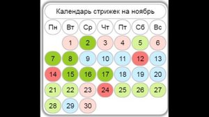 Лунный календарь стрижки волос на Ноябрь 2022/БЛАГОПРИЯТНЫЕ ДНИ