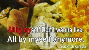 All by my self karaoke  Eric Carmen Happy Birthday