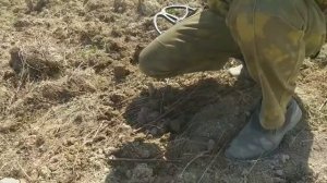 Коп по монетам. Не плохо откопались. Нашли награду УНР. Хороший коп. Поиск клада. Поиск поселка К.Р