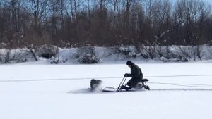 Мотобуксировщик Альбатрос XL (который не толкач).