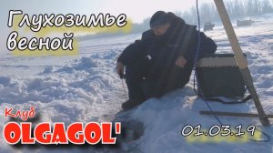 Глухозимье весной 01 03 19