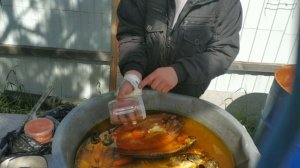 Чем красят рыбу для магазинов. Разбираем секрет красивой рыбы.