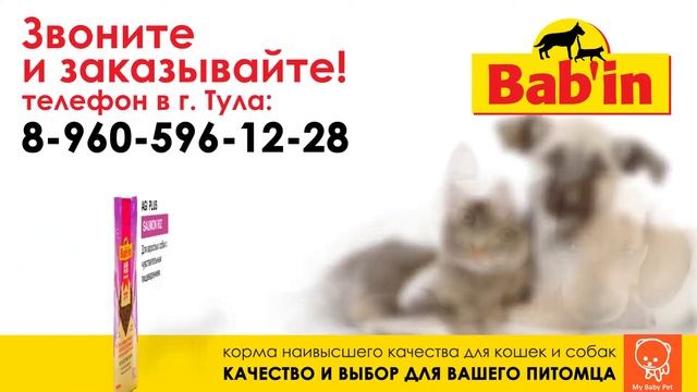 "Babin" г.Тула смотреть онлайн