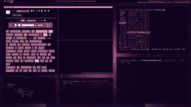 Linux Language Learning Workflow (Part 3: Learning With Texts, mpv, qutebrowser) смотреть онлайн