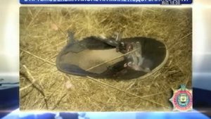 Двое детей подорвались на мине в Артемовском районе