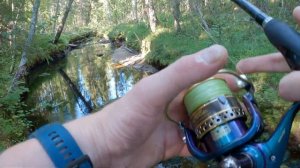 ЛОВЛЯ ФОРЕЛИ НА СПИННИНГ В РУЧЬЕ.