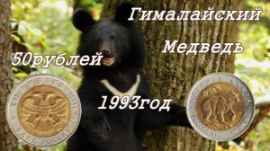 50 рублей «Гималайский Медведь» 1993 год из серии «Красная Книга»