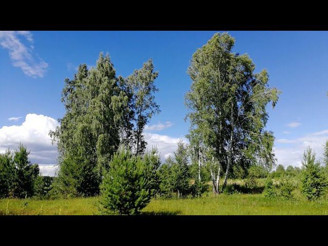 Мои фотографии природы за сезон 2020 #NIK_72 смотреть онлайн