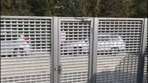 Монтаж видеодомофона Dahua в частном доме | ПрофБезопасность