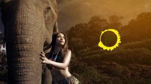 Jungle   By Saar Twito  ⁄ lyrics Music BEST MUSIC IN JUNGLE