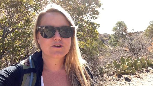 One Week, Three National Parks! Carlsbad Caverns, White Sands, and Guadalupe Mountains смотреть онлайн