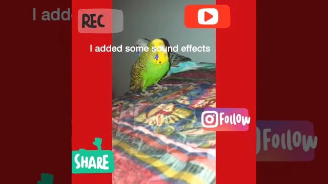 Look at this (not clickbit) смотреть онлайн