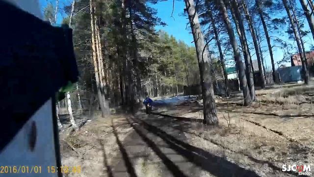 Лес РЭЙСЕР ПАНТЕР смотреть онлайн