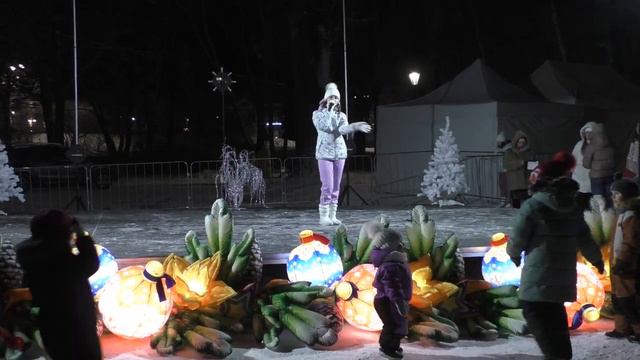 Концертная программа "Скоро Новый год". Иванова Диана 28.12.23 смотреть онлайн