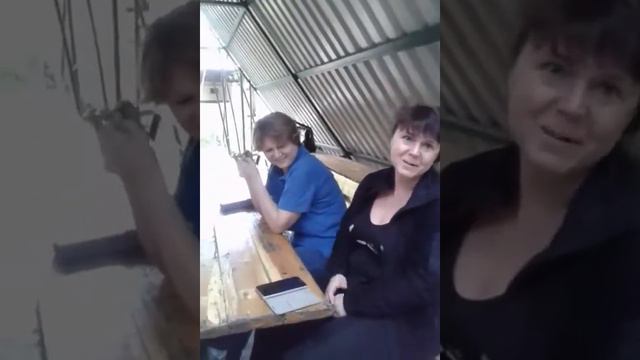 апацха в бамбуковой роще смотреть онлайн