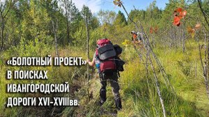 Болотный проект: в поисках Ивангородской дороги. цикл походов