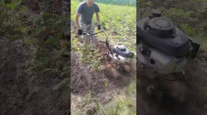 Окучка картофеля мотоплугом торпан