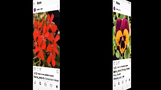 НЕОБЫЧНОЙ КРАСОТЫ ЦВЕТЫ!!!