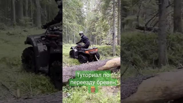 Видео-инструкция по переезду бревен ?   Помните, все трюки исполняют профессирналы! Берегите себя!