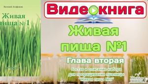 Евгений Агафонов Видео-книга "Живая пища №1". Глава 2. "Состав и описание набора" (видео 38)