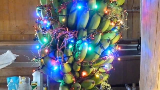 САМЫЕ НЕОБЫЧНЫЕ РОЖДЕСТВЕНСКИЕ ТРАДИЦИИ смотреть онлайн