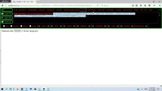 SQL Injection Tutorial - Part 4(For Absolute Beginners)