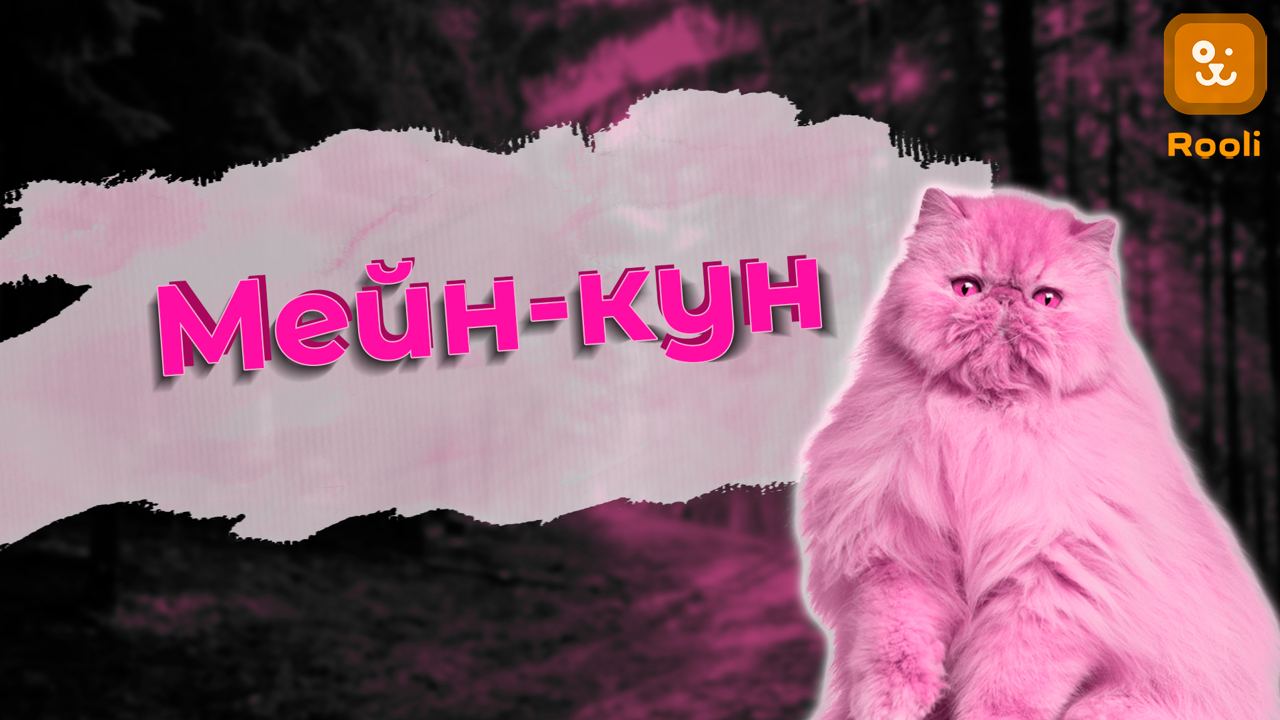 Мейн-кун