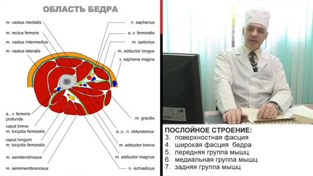 Большаков И.Н. Хирургическая анатомия нижней конечности