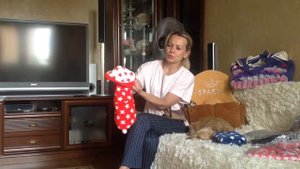 Свитер для такс