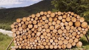 Дровники для дачи  У каждого дачника есть свой дровяник