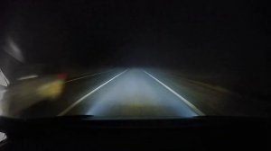 Bi Led + ПТФ в тумане
