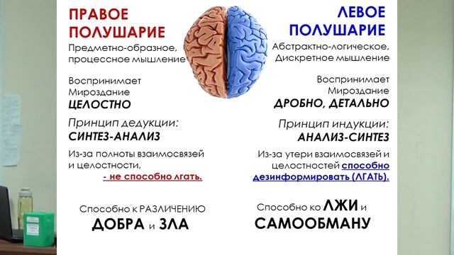 Производство ЗОМБИ и ДУРАКОВ смотреть онлайн
